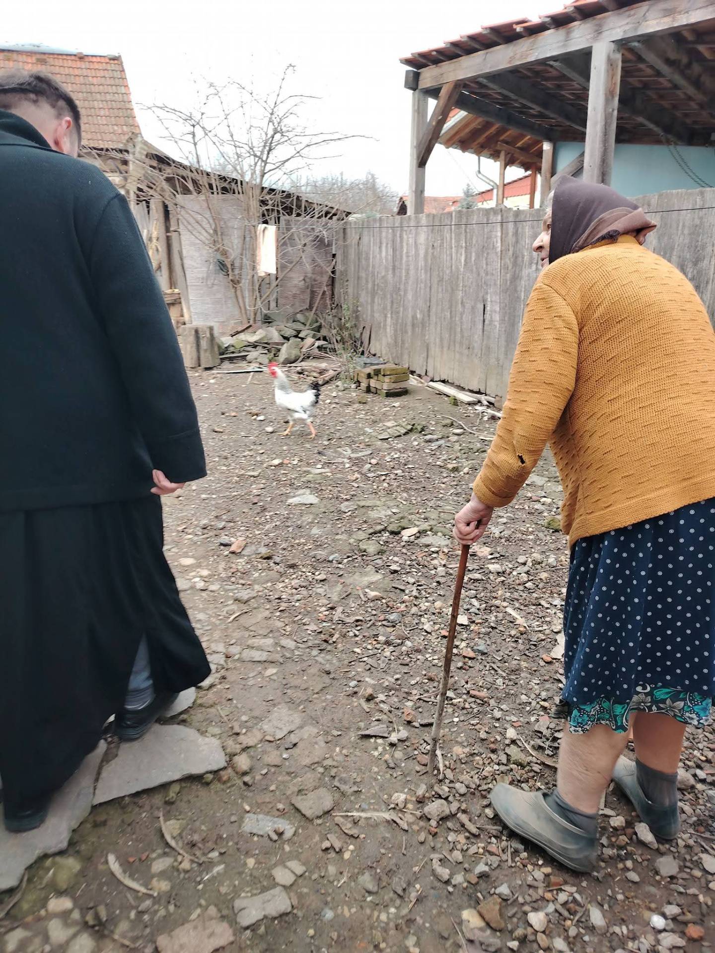 Bătrână în curtea casei